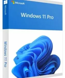 Microsoft Windows 11 Professional 64-Bit DSP DVD Software (FQC-10528)